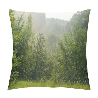 Personality  Fog Over Morning Forest Pillow Covers