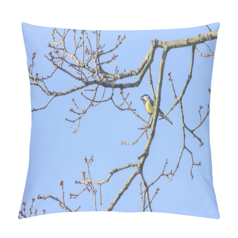 Personality  This image beautifully captures a Blue Tit, Cyanistes caeruleus, perched amidst the budding branches of a tree against a clear blue sky. The birds vibrant yellow underparts and distinctive blue cap pillow covers