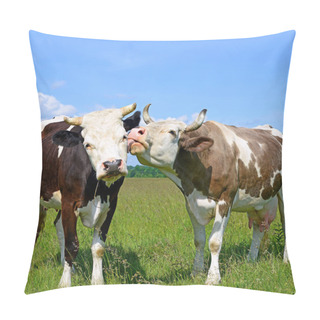 Personality  Two Cute Cows On A Summer Pasture In A Sunny Day Pillow Covers