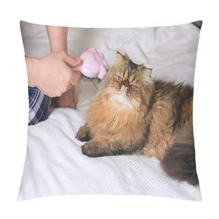 Personality  Combing Longhair Cat. Persian Exotic Cat Pillow Covers