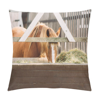 Personality  Brown Horse With White Spot On Head Eating Hay From Manger In Corral Pillow Covers