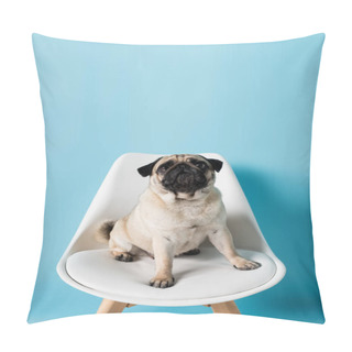 Personality  Fawn Color Pug Sitting On Chair And Looking Away On Blue Background Pillow Covers