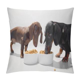 Personality  Two Small Dachshund Dogs Or Puppies During A Meal Of Dry Diet Food From White Bowls. White Seamless Studio Background High Quality Photo Image. Pillow Covers