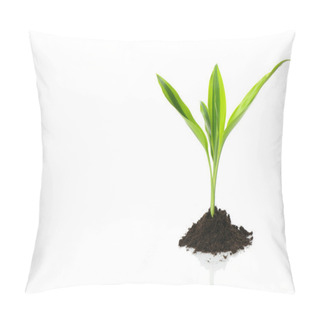Personality  New Life Design (growth Concept) Pillow Covers