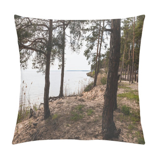 Personality  Trees Near Green Grass And Tranquil Lake  Pillow Covers