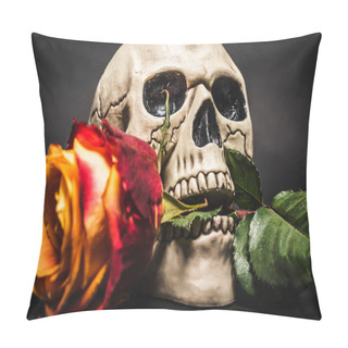 Personality  Close Up Of Blurred Rose In Teeth Of Creepy Skull On Black  Pillow Covers