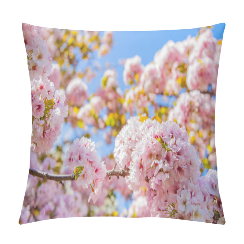 Personality  selective focus of beautiful sakura tree blossom against blue sky backdrop pillow covers