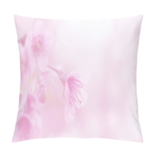 Personality  Beautiful Blossom Pink Japanese Sakura Flowers For Background With Copy Space Pillow Covers