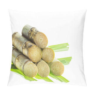 Personality  Cut Green Sugarcane Pillow Covers