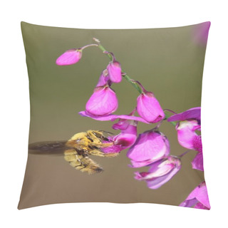 Personality  Bee Insect At Work Pillow Covers
