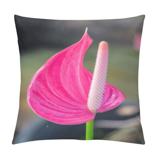 Personality  Pink Flamingo Lily Flower (Boy Flower) Pillow Covers