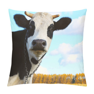 Personality  Cow Looking To Camera Pillow Covers