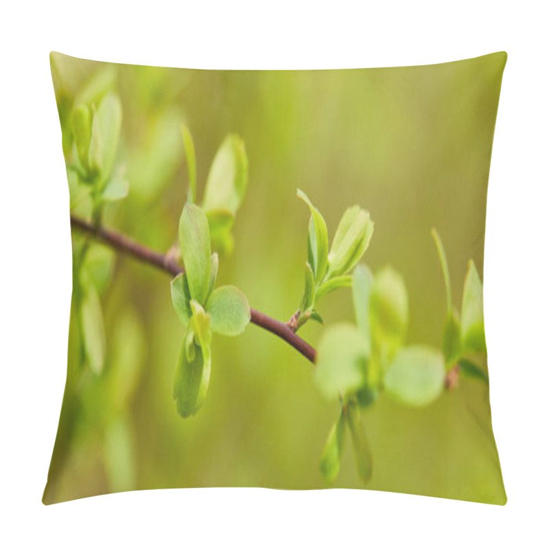 Personality  panoramic shot of green leaves on tree branch in springtime pillow covers