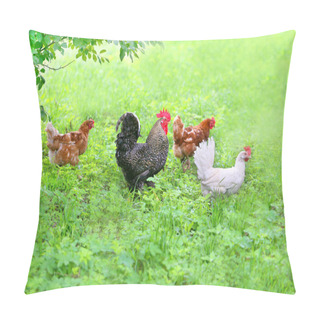 Personality  Photo Of A Funny Funny Cock And Chickens Pillow Covers