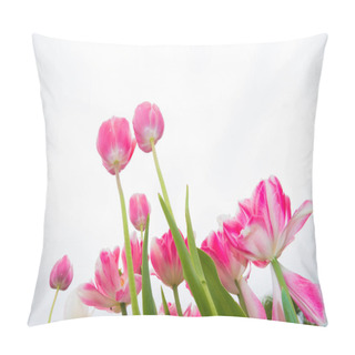 Personality  Pink Tulips In The Garden  Pillow Covers