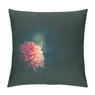 Personality  Daisy Chamomile Flowers; Nature Background ; Vintage Style Pillow Covers