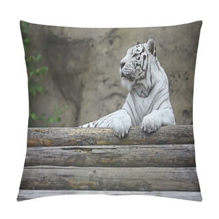 Personality  White Albino Tiger Pillow Covers