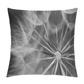 Personality  Beautiful View Of Natural Dandelion Flower Pillow Covers