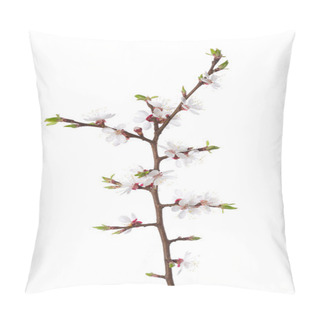 Personality  Branch In Blossom Isolated On White. Pillow Covers