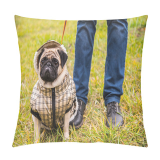 Personality  Dog Mops. Dog Walking In Bad Weather. Warm Clothes For Dogs Pillow Covers