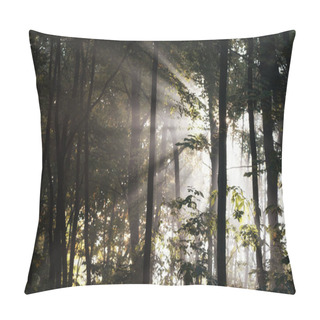 Personality  October Morning In The Park, Slightly Misty Beginning Of A Sunny Day, Silhouettes Of Young Trees' Trunks Against The Background Of The Rising Sun, Sunbeams, Forest Landscape Pillow Covers