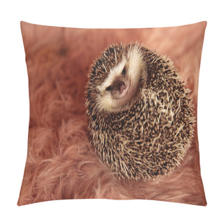 Personality  Hedgehog Laying Down On It's Back Pillow Covers