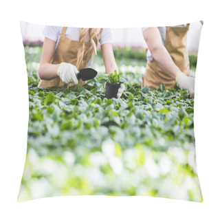Personality  Close-up View Of Gardeners With Shovels Planting Flowers In Nursery Pillow Covers