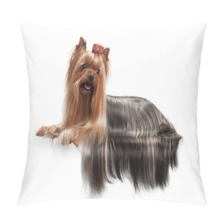 Personality  Yorkie Puppy On White Gradient Background Pillow Covers