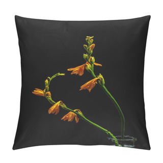 Personality  Orange Lily Flowers And Buds On Green Stems In Transparent Vase Isolated On Black  Pillow Covers