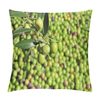 Personality  Harvesting Olives Pillow Covers