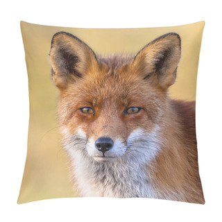 Personality  Red Fox Portrait Pillow Covers
