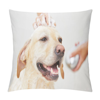 Personality  Dog In Bathroom Pillow Covers