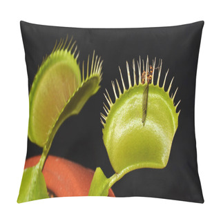 Personality  Carnivorous Plant With Prey Pillow Covers