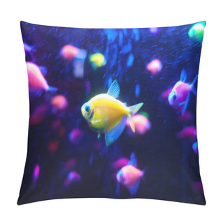 Personality  Glofish Tetrnectia Genetically Modified Fish Pillow Covers