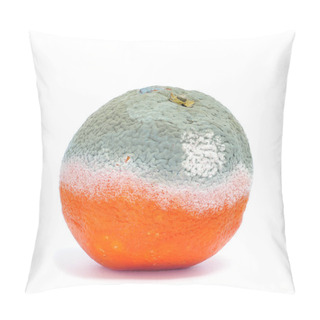 Personality  Moldy Orange Pillow Covers