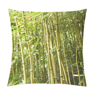 Personality  Bamboo Stalks. Pillow Covers