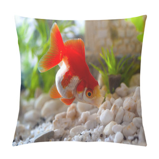 Personality  Goldfish Sucks A Rocks In The Aquarium Pillow Covers