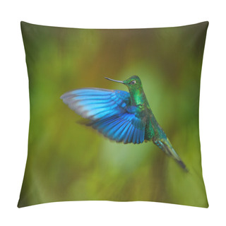 Personality  Hummingbird Great Sapphirewing Pterophanes Cyanopterus Male In Flight Pillow Covers