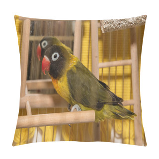 Personality  Parrot As Pet. A Parrot In A Cage With A Mirror. A Beautiful Parakeet In Its Cage With Colorful Feather Pillow Covers