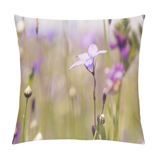 Personality  Colorful Summer Flowers On Sunny Rural Field. Natural Vintage Ba Pillow Covers