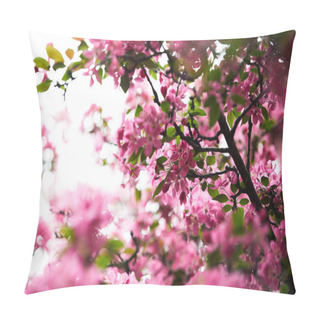Personality  Close-up Shot Of Aromatic Pink Cherry Blossom On Tree Pillow Covers