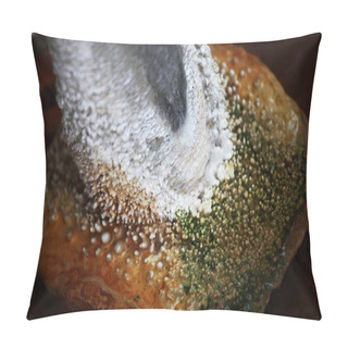 Personality  Mineral Springs Pillow Covers