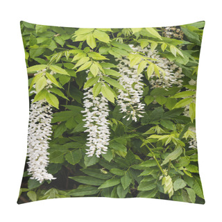 Personality  White Wisteria Flowers And Leaves Pillow Covers