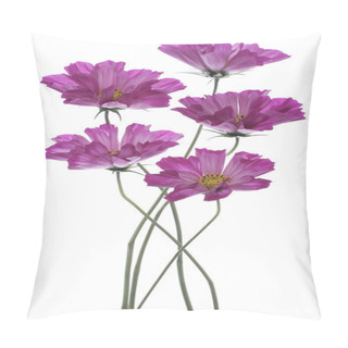 Personality  Cosmos Pillow Covers