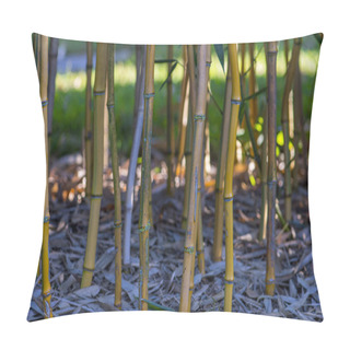 Personality  Bamboo In A Garden From Below Pillow Covers
