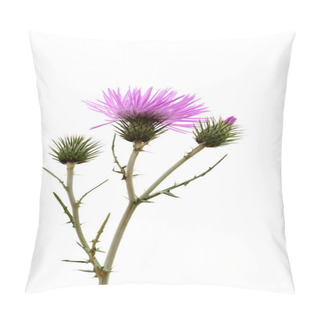 Personality  Thistle Flowers Pillow Covers