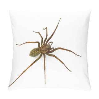 Personality  Hairy Spider Pillow Covers