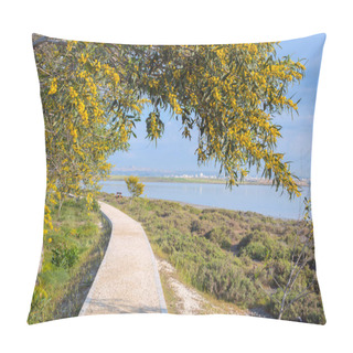Personality  Trail Running Along Larnaca Salt Lake  Pillow Covers