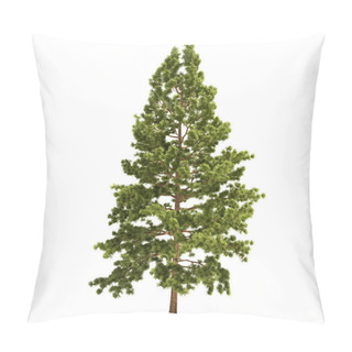 Personality  Tall Pine Tree Isolated Pillow Covers