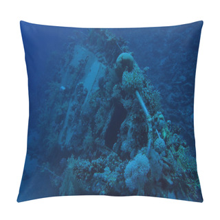 Personality  Unsere Erste Tauchsafari Am Roten Meer In Aegypten Pillow Covers